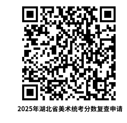2025年湖北省艺术类专业考试美术与设计类省级统考成绩复查申请